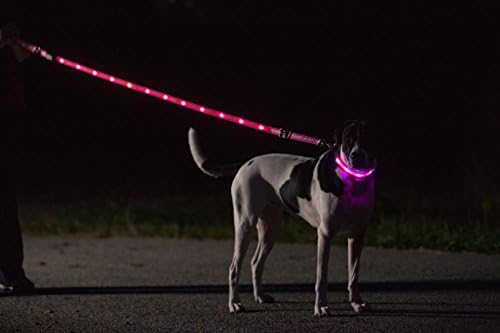 BeSafer LED Işıklı Köpek Tasması ve Tasma Combo Orta Boy (Pembe)