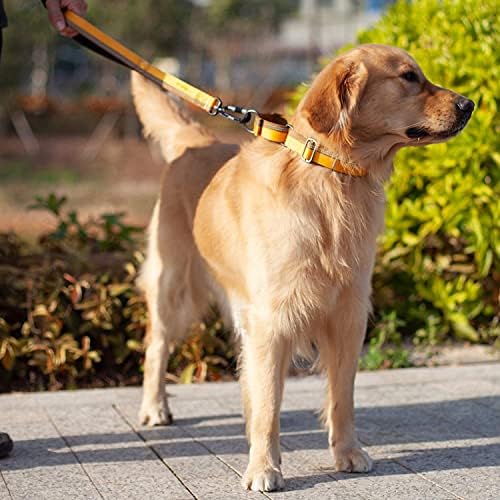 Hyhug Evcil Güvenli Yansıtıcı Martingal köpek tasması ile Güzel Jakarlı Örgü Naylon Büyük Orta Köpekler için Günlük