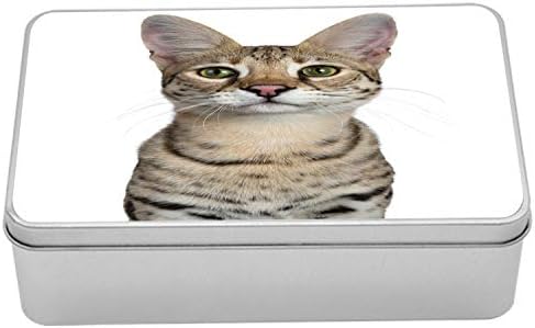 Ambesonne Kitty Teneke Kutu, Öne Bakan Serin bir Genç Kedinin Kafa Vuruşu, Kapaklı Taşınabilir Dikdörtgen Metal Organizatör