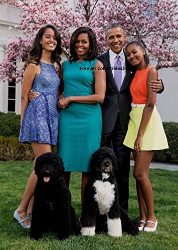 Başkan Barack Obama Fotoğraf 4x6 Michelle Obama Malia Sasha Demokratik Koleksiyonlar