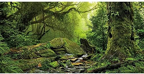 AWERT Tropikal Orman Teraryum Arka Plan Akışı Yeşil Büyük Ağaç Sürüngen Habitat Arka Plan Sisli Yağmur Ormanı Akvaryum